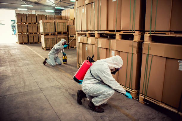 Best Emergency Pest Control  in Warson Woods, MO