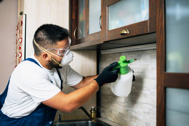 Best Local Pest Control Services  in Warson Woods, MO