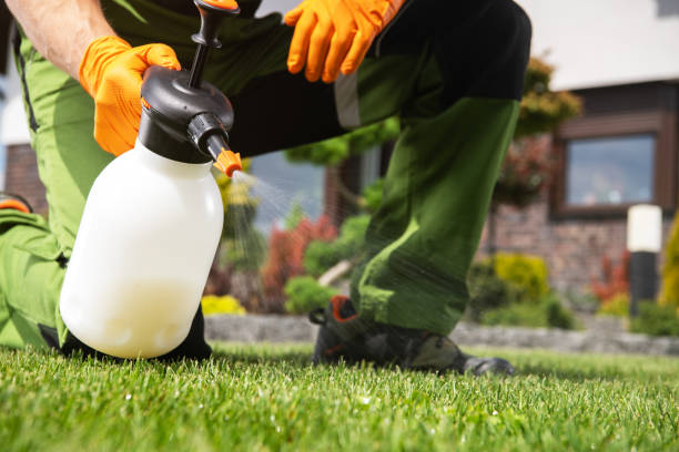 Flea Control Services in Warson Woods, MO