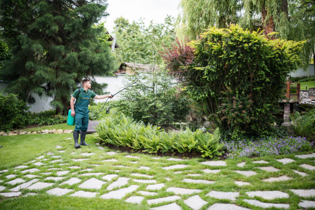 Best Best Pest Control Companies  in Warson Woods, MO