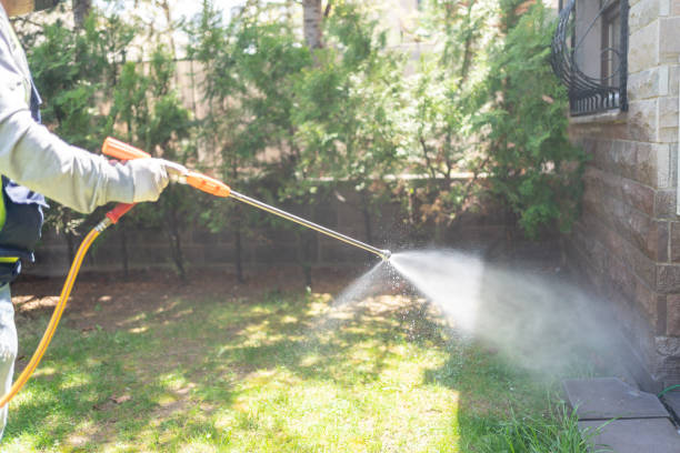 Best Bed Bug Extermination  in Warson Woods, MO