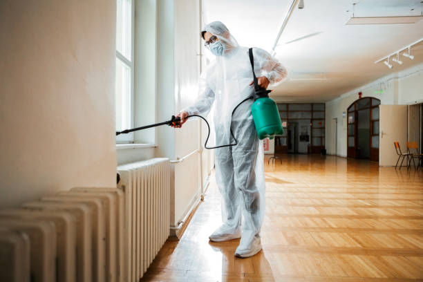 Best Local Pest Control Services  in Warson Woods, MO