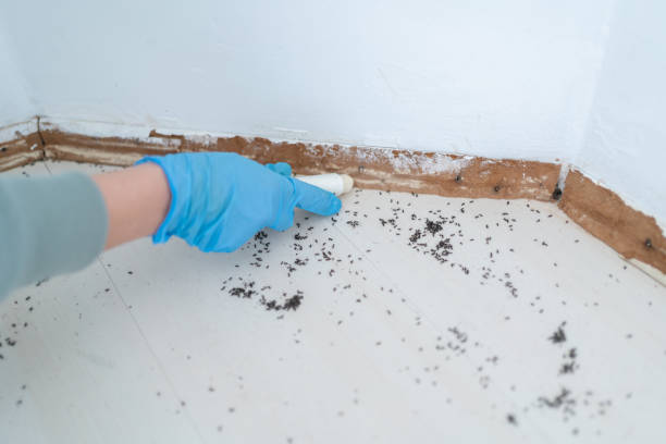 Pest Prevention Services in Warson Woods, MO