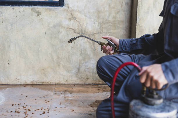 Best Emergency Pest Control  in Warson Woods, MO